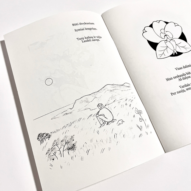 Tyli geometrija, knygutė - Silent Geometry book