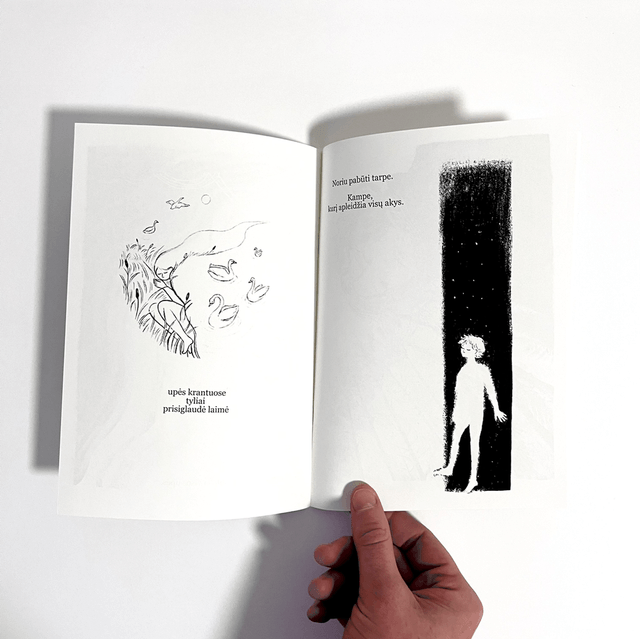 Tyli geometrija, knygutė - Silent Geometry book