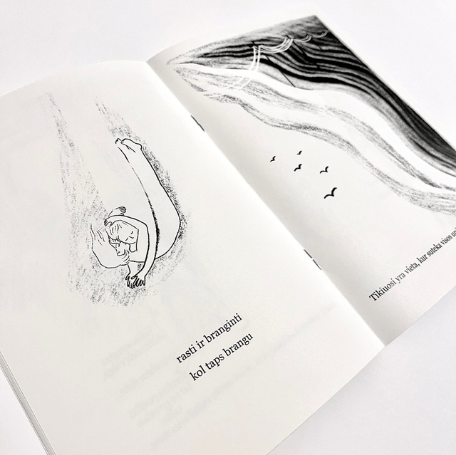 Tyli geometrija, knygutė - Silent Geometry book
