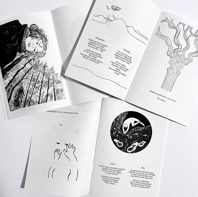 Tyli geometrija, knygutė - Silent Geometry book